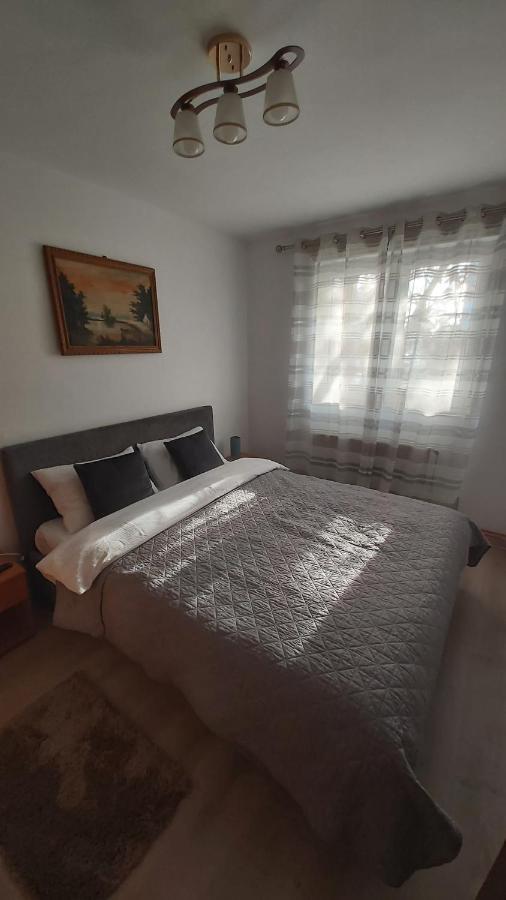 Relax Apartament Apartment Satu Mare Bagian luar foto