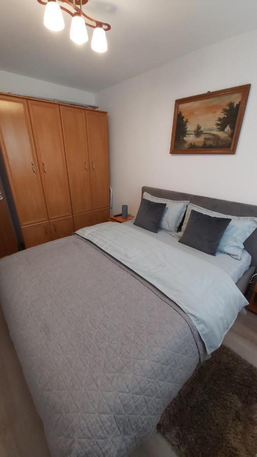 Relax Apartament Apartment Satu Mare Bagian luar foto